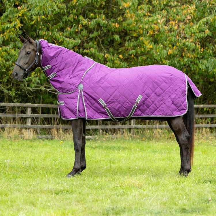 DefenceX Shield 300g Stable Rug with Detachable Neck image 1